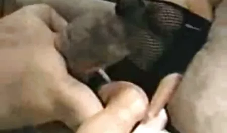 انحرافی, سکس داستانی تصویری سگ سفید, سیاه,